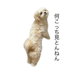 [LINEスタンプ] お久しブリーフーズン