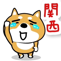 [LINEスタンプ] 関西弁な柴犬。【大阪府＆京都府など】