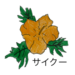 [LINEスタンプ] サーフィンイラストスタンプ