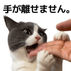 [LINEスタンプ] 毎日使える☆もふもふ猫スタンプ2