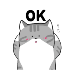 [LINEスタンプ] ねこ太くんの日常スタンプ