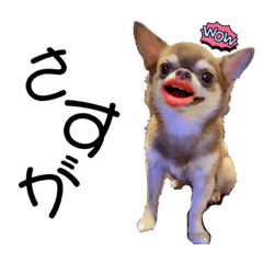 [LINEスタンプ] めろりんこ