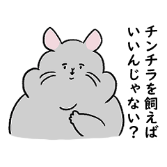 [LINEスタンプ] チンチラ飼いたい