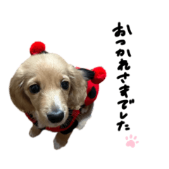 [LINEスタンプ] llatte.