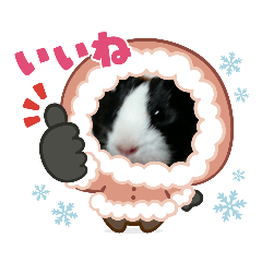 [LINEスタンプ] mrubunnsutannpu