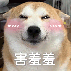 [LINEスタンプ] 柴犬の日常をおかしくする2