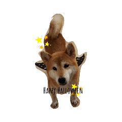 [LINEスタンプ] ドールン家の面々
