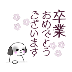 [LINEスタンプ] Stickers_Shih Tzu_i シーズースタンプ春