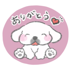 [LINEスタンプ] ペキニーズのこうめちゃん