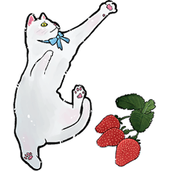 [LINEスタンプ] しろねこといちご【修正版】