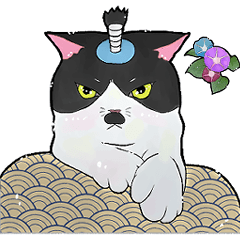 [LINEスタンプ] ヒゲねこと朝顔【修正版】