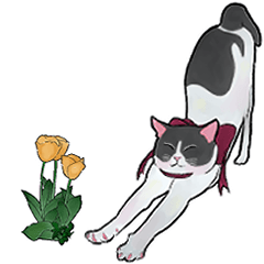 [LINEスタンプ] はちわれねことチューリップ【修正版】