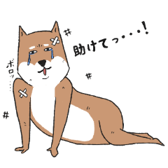 [LINEスタンプ] いらすとわん【柴犬】日常編