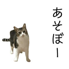 [LINEスタンプ] ペロちゃーん2