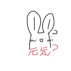 [LINEスタンプ] まるピョコセットスタンプ 実写あり！