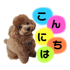 [LINEスタンプ] ライトくんのスタンプ★