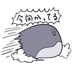 [LINEスタンプ] ペンギンときどきその他のいきもの