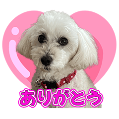 [LINEスタンプ] ちゅらスタンプ♥