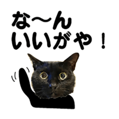 [LINEスタンプ] 金沢弁の黒猫