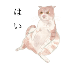 [LINEスタンプ] ゆるねこ(敬語)