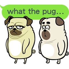 [LINEスタンプ] what the pug.