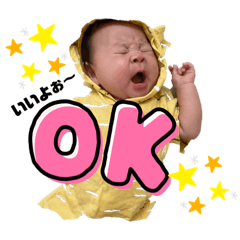 [LINEスタンプ] 可愛いRaiくんスタンプ