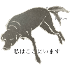 [LINEスタンプ] LaBlackDougie 黒犬