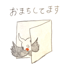 [LINEスタンプ] オカメインコ手描き