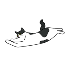 [LINEスタンプ] ブリティッシュショートヘアのハチワレ猫の画像（メイン）
