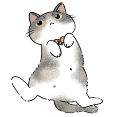 [LINEスタンプ] いえねこ ビビのスタンプ