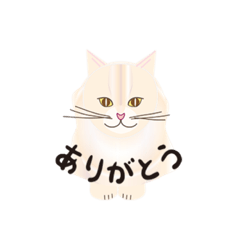 [LINEスタンプ] ちょこっと猫スタンプ ベルちゃん