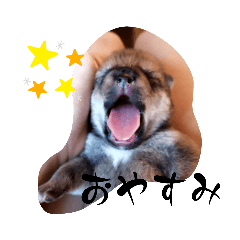 [LINEスタンプ] 子犬ちゃんは可愛いです