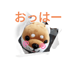 [LINEスタンプ] 柴犬のぬいぐるみ太郎