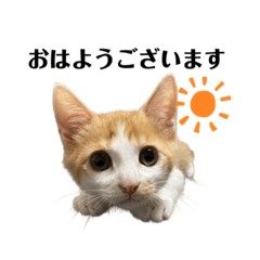 [LINEスタンプ] Mioくんのスタンプ3