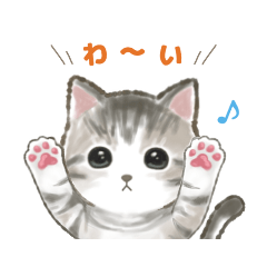 [LINEスタンプ] アメショのニャーくん