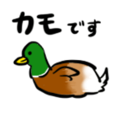 [LINEスタンプ] ホス狂あるある