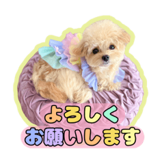 [LINEスタンプ] タレ目のテディさん♡3