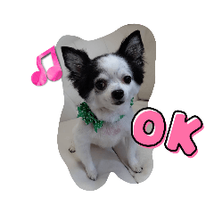 [LINEスタンプ] ゆずちゃんスタンプときどきさくらちゃん