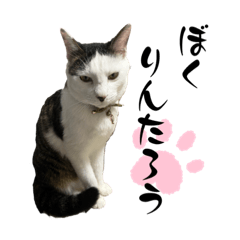 [LINEスタンプ] リンタロスァン第3弾