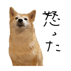 [LINEスタンプ] ちろだよ3