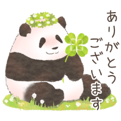 [LINEスタンプ] まるまるパンダさんとお花のスタンプ