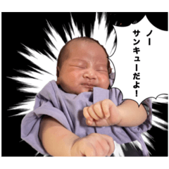 [LINEスタンプ] せいちは人間始めたばかり。