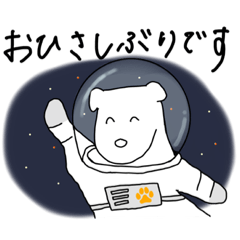 [LINEスタンプ] ここでもやっぱり白いいぬ