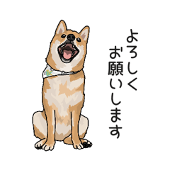 [LINEスタンプ] まめしば7