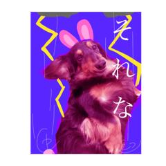 [LINEスタンプ] わんずfriendsz
