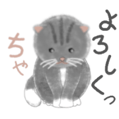 [LINEスタンプ] よかっちゃ福岡かわいい猫スタンプ