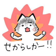 [LINEスタンプ] シベリアンのハスキーちゃん(in福岡)