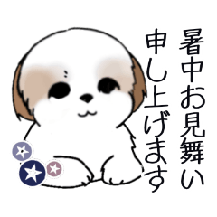 [LINEスタンプ] Stickers_Shih Tzu_i シーズースタンプ夏の画像（メイン）