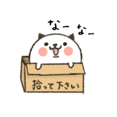 [LINEスタンプ] しらたま猫