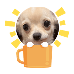 [LINEスタンプ] きなち②